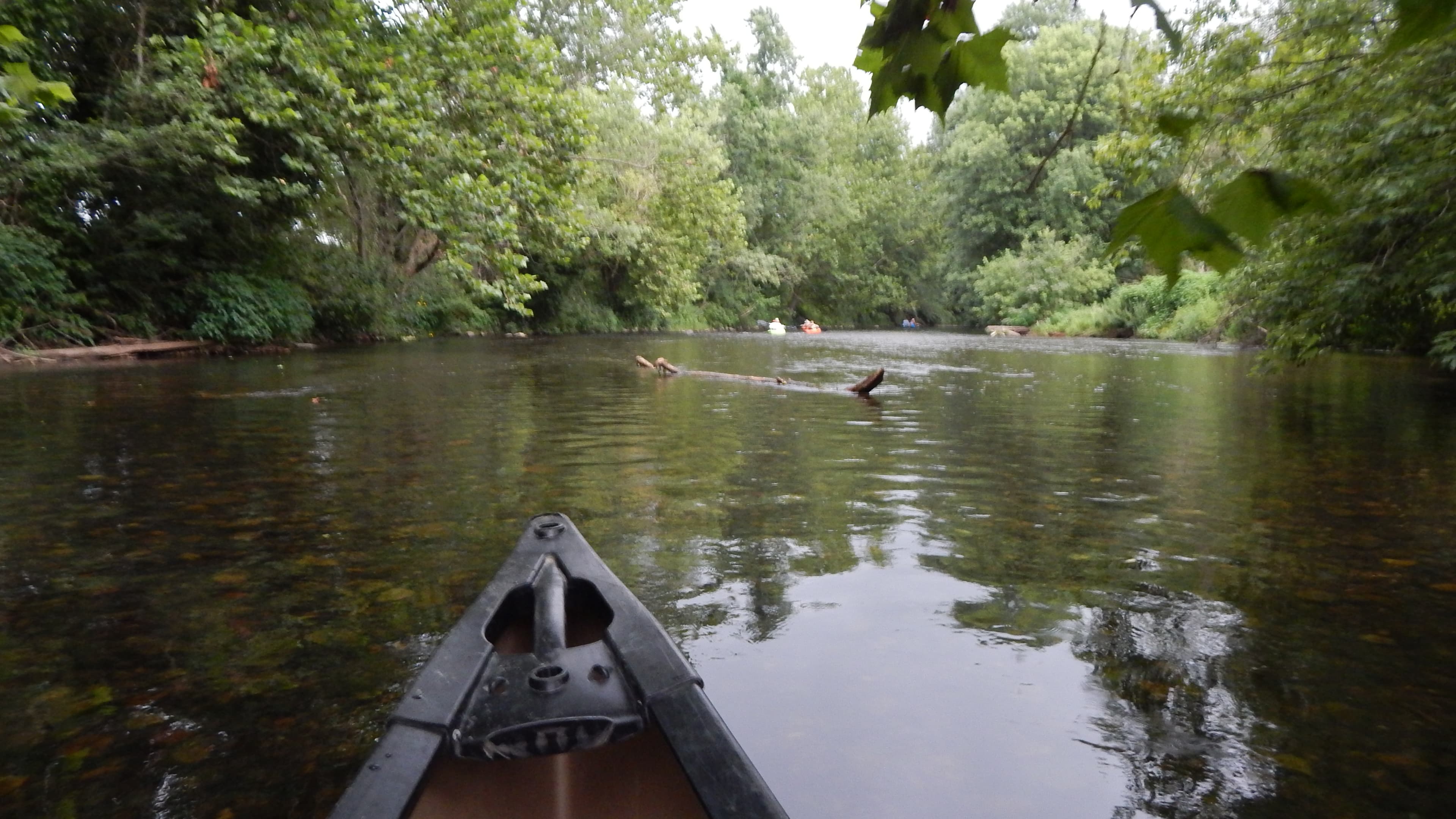 Canoe & Dine: Twilight Dinner Trip