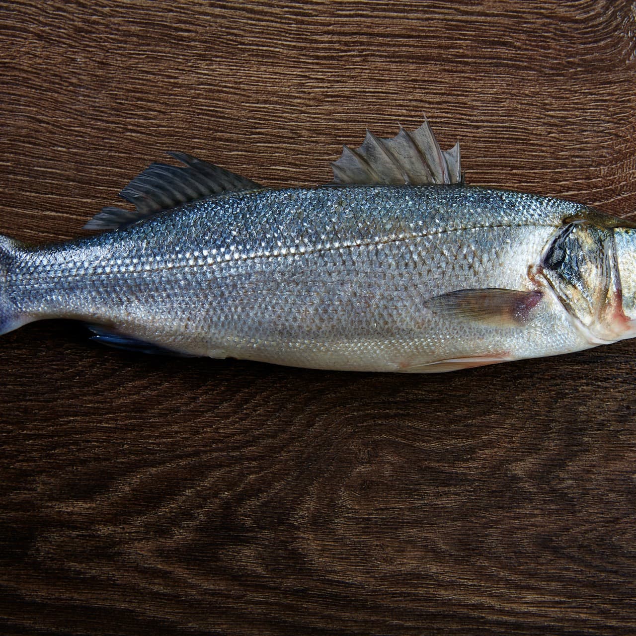 Cook Like a Pro: Fish